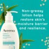 81QoK5gSm5L._SL1500_.jpg Aveeno Calm + Restore Oat Repairing Body Lotion for Sensitive Skin, Daily Moisturizer with Prebiotic Oat, Aloe & Pro-Vitamin B5 Helps Restore Skin's Moisture Barrier, Fragrance Free, 12 oz