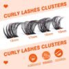 81WFRYHnjQL._SL1500_.jpg Full Cluster Lashes Natural Strips False Eyelashes Wispy Individual Lashes that Look Like Extensions 7 Pairs Multipack by Eefofnn