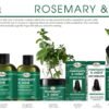Difeel Rosemary and Mint Oil Root Stimulator with Biotin 2.5 oz. - Hair Growth Scalp Treatment
