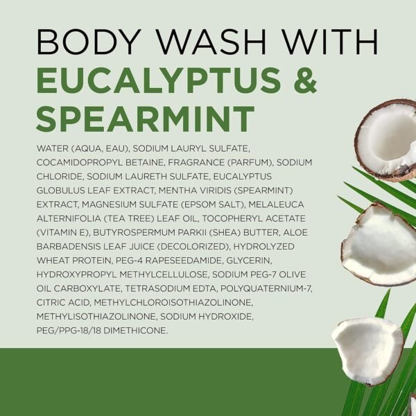 Dr Teal's Body Wash with Pure Epsom Salt, Relax & Relief with Eucalyptus & Spearmint, 24 fl oz (Pack of 4)