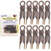 81cBD1kMQIL._SL1500_.jpg Hair Pins - 2 1/2" Plastic, U-shaped Magic Grip Hairpins, Strong Durable Pins For Fine, Thick & Long Hair, Styling Accessories - Tortoise Shell, Set of 10
