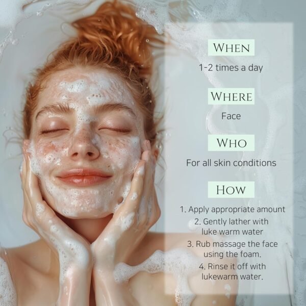 Beauty of Joseon Green Plum Refreshing Cleanser Gel Type Deep Pore Cleansing, Acne Face Wash, Blackhead Remover for All Skin Types, Korean Skincare 100ml, 3.38 fl.oz