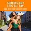 81gFVedGwL._SL1500_.jpg Banana Boat SPF Lip Balm with Aloe Vera & Vitamin E, 0.15oz | Beach Essentials, Moisturizing Lip Sunscreen SPF 45, Travel Sunscreen for Lips, 0.15oz