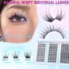 81gWpW20iL._SL1500_.jpg Lash Clusters Wispy Eyelash Clusters Natural C-Curly Cluster Lashes zanlufly Wispy Individual Lashes 150Pcs Eyelash Extension 10 12 14MM DIY Lash Extensional Lash Clusters