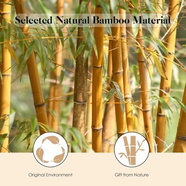 81iProlBR2L._SL1500_.jpg Bamboo Hair Brush for Hair Growth, Natural Bamboo Bristles Detangling Wooden Paddle Hairbrush for Massaging Scalp, for Women Men and Kids, for All Hair Types, with Ergonomic handle