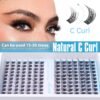 Short Lash Clusters Wispy C Curl Eyelash Clusters 10-12MM Individual Eyelashes Natural Cluster Eyelash Extensions Natural Looking Cluster Lashes by Geeneiya（154PCS, C Curl, 10-12mm)