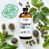 81kpIZZpu7L._SL1500_.jpg Castor Oil 100% Pure Organic Cold Pressed Unrefined Glass Bottle | USDA Certified Organic | Hexane Free Extra Virgin | For Hair Growth Eyebrows Eyelashes Skin and Castor Oil Pack Wrap | 16oz