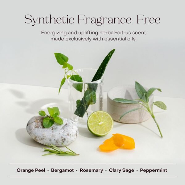 The Deep Conditioning Concentrate, Hydrating and Smoothing for Dry, Damaged, or Frizzy Hair, Hair Mask, Plant-Based, Vegan, 3.4 fl oz