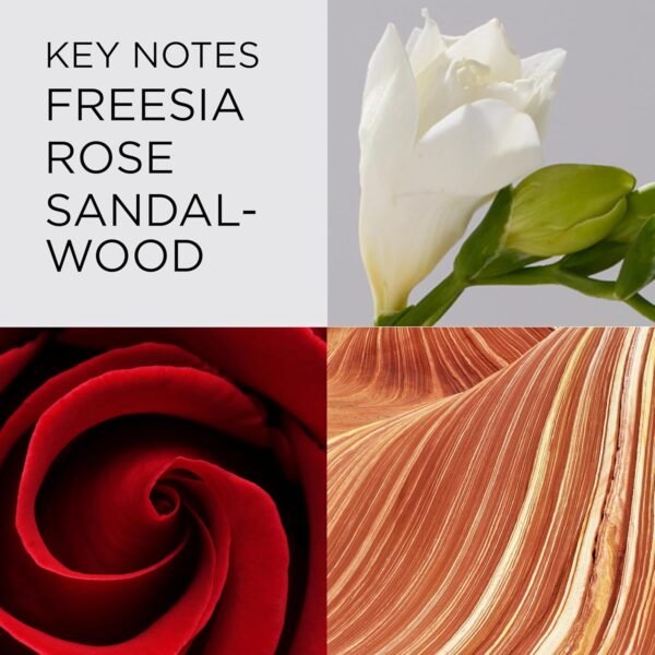 Elizabeth Arden Red Door Women's Perfume, Fragrance, Floral Parfum with Notes of Freesia, Roses, and Sandalwood, Eau de Parfum, 1.7 fl oz