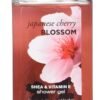 Bath Body Works Japanese Cherry Blossom 3.0 oz Shower Gel