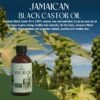 81psgJYzeSL._SL1500_.jpg ARVIDSSON 100% Pure Jamaican Black Castor Oil for Hair Growth, Eyelashes, Eyebrows - 4 Fl Oz, Cold Pressed Castor Oil, Hair Oil, Body Oil, Skin & Scalp Moisturizer