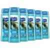 Suave Moisturizing Body Wash, with Ocean Breeze Scent and Vitamin E Extract, No Parabens, No Phtahaltes, 18 Oz Pack of 6