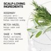 Pacifica Scalp Serum – Rosemary Mint Scalp Love Serum - Scalp Treatment for Dry Itchy Scalp w/Witch Hazel for Scalp Detox & Moisturizing, Vegan & Cruelty-Free, 2 oz