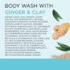 Dr Teal's Body Wash With Pure Epsom Salt, Detoxify & Energize With Ginger & Clay, 24 fl oz (Pack of 4)
