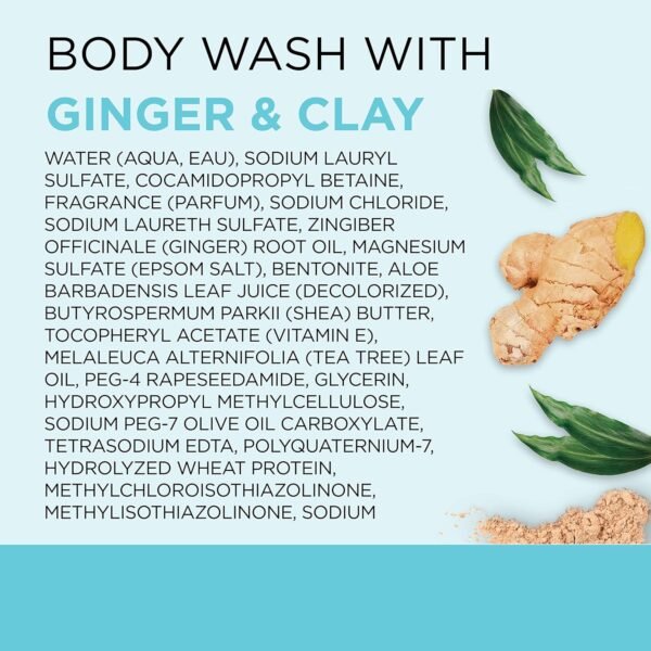 Dr Teal's Body Wash With Pure Epsom Salt, Detoxify & Energize With Ginger & Clay, 24 fl oz (Pack of 4)