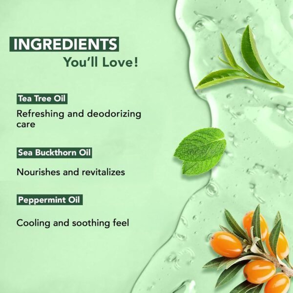 Botanic Hearth Tea Tree Body Wash | 16 Fl Oz | Helps Soothe Itchy, Dry Skin, Antifungal Body Wash With 100% Pure Tea Tree Oil | Sulfate Free, Paraben Free, For Men And Women