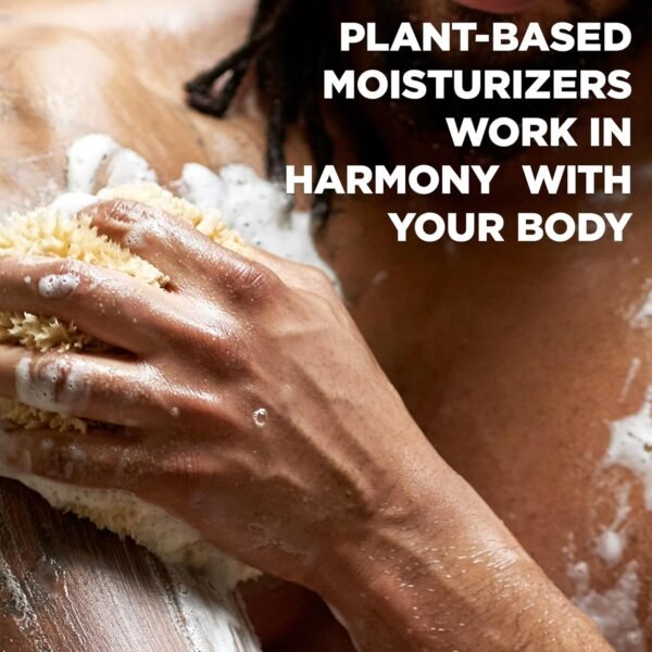 Dove Men+Care Body Wash Sandalwood + Cardamom Oil 4 Count to Rebuild Skin in the Shower with Plant-Based Cleansers and Moisturizers 18 oz