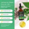 81v7PSdOEWL._SL1500_.jpg Jamaican Black Castor Oil for Hair Growth,Thicker Eyelashes & Eyebrows,Castor Oil for Hair,Face,Body & Skin,100% Pure Cold Pressed Black Castor Oil,Hair Nourishing Oil,Massage Oils