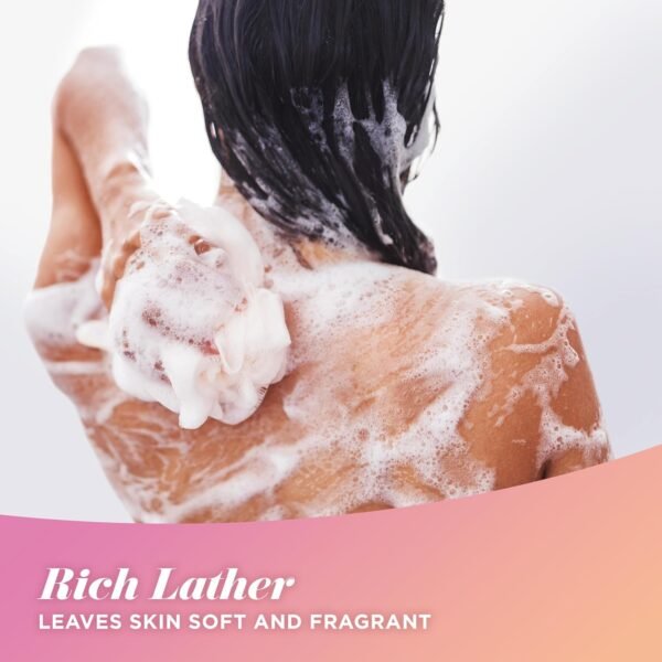 Caress Body Wash for Women, Daily Silk White Peach & Orange Blossom, Shower Gel Body Wash Moisturizing for Noticeably Silky, Soft Skin, 20 fl oz, 4 Pack