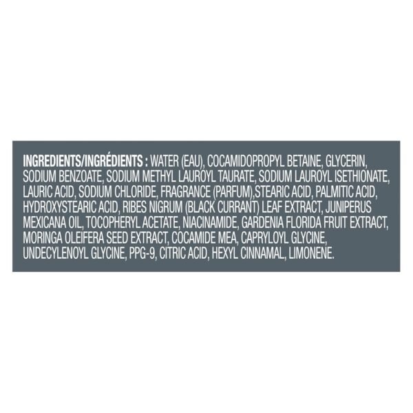 DOVE MEN + CARE Body Wash Blackcurrant to Rebuild Skin in the Shower with Plant-Based Cleansers and Moisturizers 26 Fl Oz