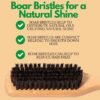 81wH4zt0x8L._SL1500_.jpg GranNaturals Boar Bristle Slick Back Hair Brush for Sleek Ponytail Bun & Smoothing Baby Hairs, Flyaways, Edge Control - Backcombing & Teasing Hairbrush with Wide Rat Tail for Sectioning & Parting