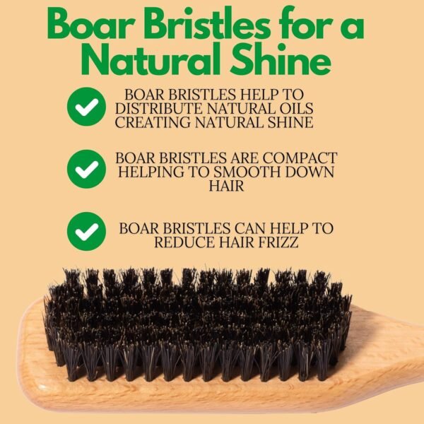 81wH4zt0x8L._SL1500_.jpg GranNaturals Boar Bristle Slick Back Hair Brush for Sleek Ponytail Bun & Smoothing Baby Hairs, Flyaways, Edge Control - Backcombing & Teasing Hairbrush with Wide Rat Tail for Sectioning & Parting