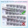 81y0tsbZ0IL._SL1500_.jpg Lash Clusters Wispy Eyelash Clusters Natural CC-Curly Cluster Lashes zanlufly Wispy Individual Lashes 180Pcs Eyelash Extension 10 12 14MM DIY Lash Extension