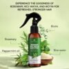 Botanic Hearth Advanced Rosemary Water Spray For Hair Growth With Peppermint, Biotin | Thinning Hair Regrowth, Scalp Treatment For Men & Women| 6.8 Fl Oz