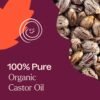 81zpPk5lNnL._SL1500_.jpg Plant Therapy Castor Oil USDA Organic Cold Pressed 100% Pure Hexane Free 16 oz Conditioning & Healing, For Dry Skin, Hair Growth, Eyelashes