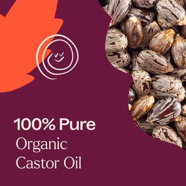 81zpPk5lNnL._SL1500_.jpg Plant Therapy Castor Oil USDA Organic Cold Pressed 100% Pure Hexane Free 16 oz Conditioning & Healing, For Dry Skin, Hair Growth, Eyelashes