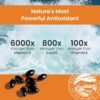NUTREX HAWAII BioAstin Hawaiian Astaxanthin - 12mg, 90 Softgels - Farm-Direct Premium Antioxidant Supplement to Support Eye, Skin, Joint & Immune System Health - Non-GMO & Gluten-Free