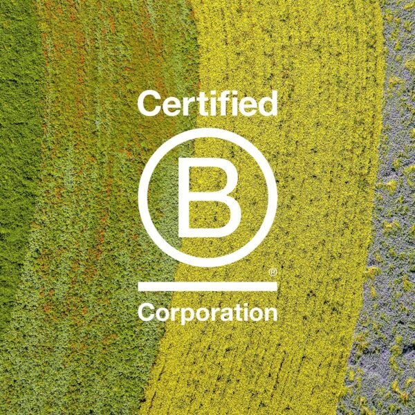 Davines NOUNOU Conditioner, Hydrating Deep Conditioner for Bleached, Permed, Relaxed, Damaged Or Very Dry Hair, Replenishes Chemically Processed Hair